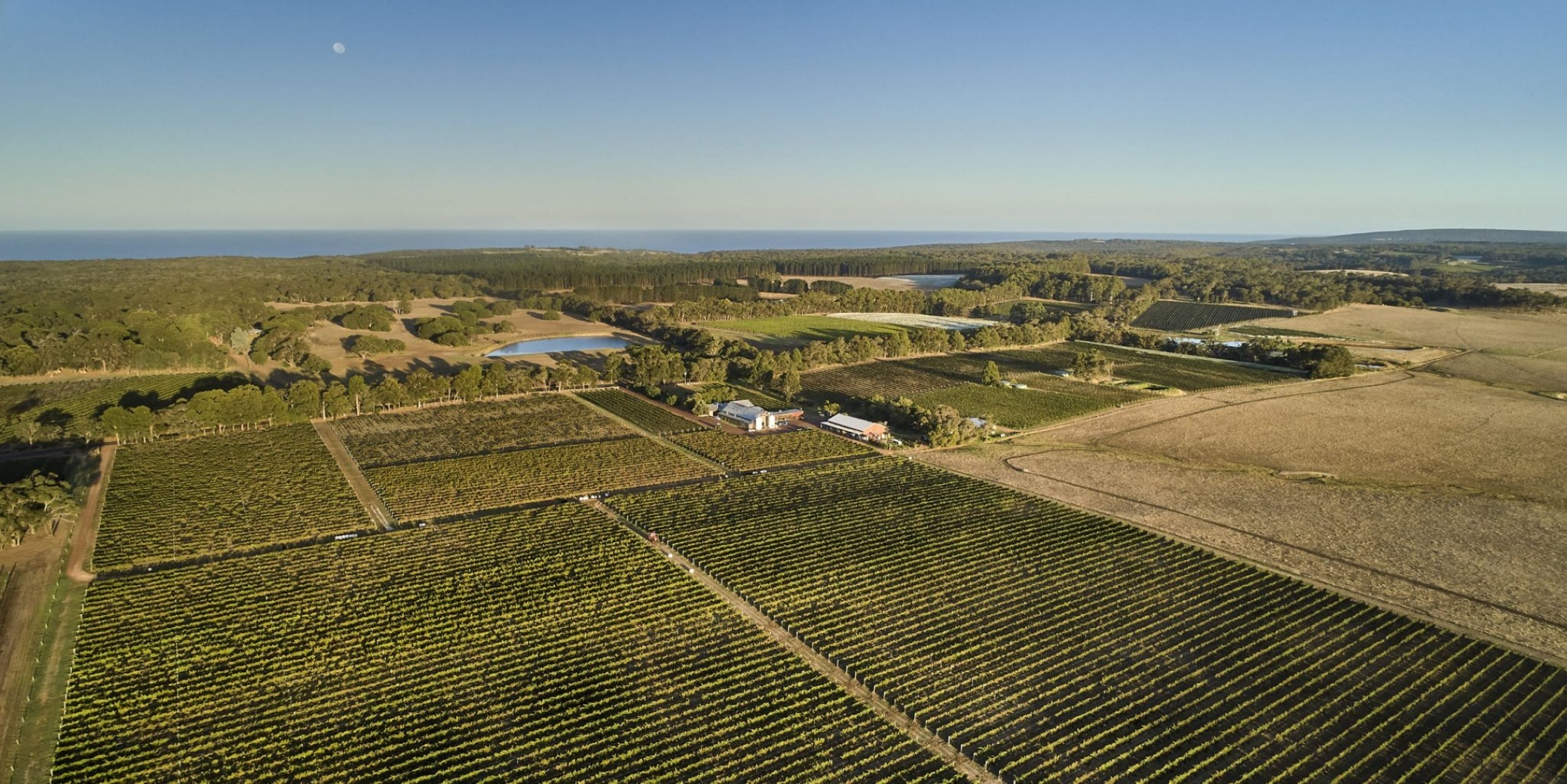 Cullen Vineyards Margaret River Drone Shot